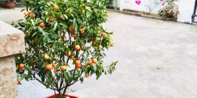 Bán nhà xã Cao Ngạn, TP. Thái Nguyên, diện tích 2.200m2, giá 3.3 tỷ TL