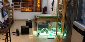 Bán nhà phố Cầu Giấy, 39M2, Cách phố 5m, Ô tô con đỗ cửa