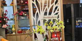 Nhà đẹp, xem là chốt trung tâm Quận 3, hẻm thông giá chỉ hơn 3 tỷ.