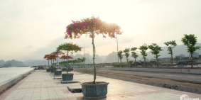 Cơ hội đón đầu dự án đất nền bao biển gía chỉ từ 24tr/m2, ck lên tới 9%