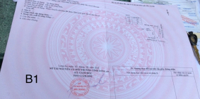 Thật dễ dàng để sở hữu - Lô đất đã có sổ cách UBND Long Trạch Cần Đước 500m