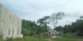 chủ cần tiền bán nhanh  lô đất ở ngõ đường 389 phan đình phùng