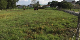 Đất Làm Nhà Vườn Hoặc Đầu Tư Xã Nhuận Đức, 430m2, Sổ Hồng Riêng