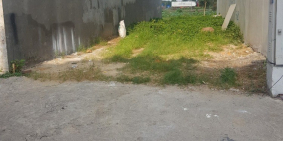 Gia đình chuyển công tác ra bắc bán lô đất MT Phan Văn Hớn, Giá: 800tr, Diện tíc