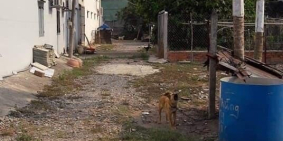 Chính chủ bán đất đẹp có sẵn nhà, giá tốt xã Tân Hiệp, huyện Hóc Môn