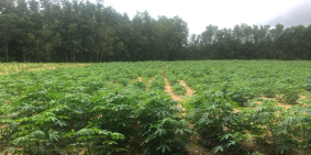 Bán 1000m2 đất sân bay Long Thành, có sẵn thổ cư, Gía 1tr/m2.