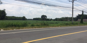 Cần bán gấp đất Nhơn Trạch, mặt tiền đường Phạm Thái Bường, xã Phước Khánh.