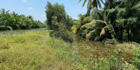 Bán đất ven sông Phước Khánh - Nhơn Trạch, đường ô tô, khu dân cư, SHR, giá đầu