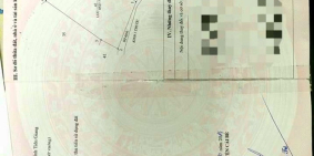 Bán rẻ vườn sầu riêng và mít Thái đang thu hoạch tại Tiền Giang