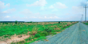 Đất 1000m2 Giá Siêu rẻ chỉ 650tr gần mặt tiền đường239 ngay sau khu công nghiệp