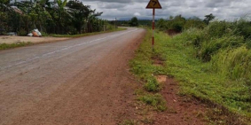 Gia đình chuyển định cư cần sang lại đất rẫy, tiêu cà, ao nhà đầy đủ