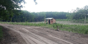Lô đất sát đường DH704 gần chợ Đinh An – Dầu Tiếng Bình Dương