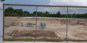 nhà em đang có công việc cần bán gấp lô đất 500m CẦN GIỜ