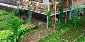 Bán mảnh đất Củ Chi 500m với sổ hồng riêng ngay Tỉnh lộ 7 huyện Củ Chi