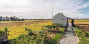 Đất Củ Chi , diện tích lơn , SHR sang tay .