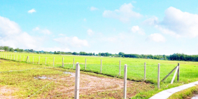 Đất Vườn Giá Rẻ, An Nhon Tây - Tỉnh Lộ 7