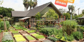 Cần Sang Nhượng Lô Góc Mặt Tiền Tỉnh Lộ 7- An Nhơn Tây