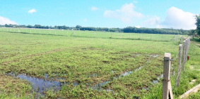 Cần Sang Lô Góc Mặt Tiền Giá Tốt Tỉnh Lô 7- An Nhơn Tây