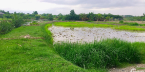 Đất Nhơn Trạch, Phước Khánh, đất cây lâu năm, gần 25c, đường ô tô