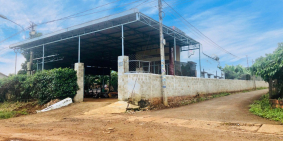 ĐẤT RẺ ĐƯỜNG PHẠM NGỌC THẠCH 45 TRIỆU/M NGANG