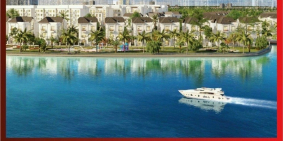 Chính sách siêu hấp dẫn để mua một căn biệt thự của Vin (Vinhomes Grank Park)