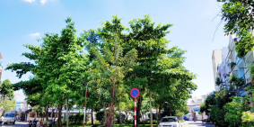 Biệt Thự P.Tân Sơn Nhì (8x18m) 1 Hầm 1 Lửng 2 Lầu ST, Ngay công viên - Giá 16 tỷ