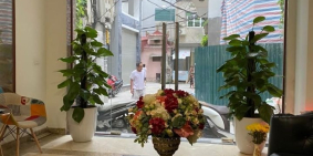 Nhà Phố Đào Tấn, Ba Đình - 9 Tầng - 31 Căn Hộ Cao Cấp Dịch Vụ - 48 Tỷ