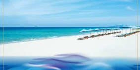 Chuyên nghiệp tạo nên sự khác biệt của dự án - KN ParaGrus