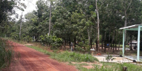 Chủ kẹt tiền cần bán gấp lô đất sát ĐT749A Dầu Tiếng Bình Dương