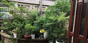 Bán Nhà Kế Bên ĐÀM VĨNH HƯNG khu BẮc Hải Quận 10