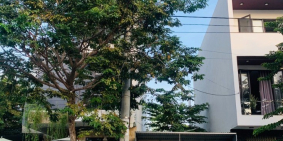 Bán nhà tặng kho, đường Mai Chí Thọ b1.102 lô 40