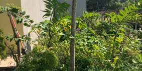 Bán đất chung cư Huê Xã Hoa Động-Thủy Nguyên -Hải Phòng