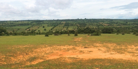 Đất sào Bình Thuận giá siêu rẻ- đã có sổ đỏ- công chứng ngay