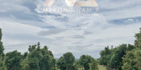 Ly hôn chia tài sản nên cần bán gấp Đất Bình thuận 50.000/m²