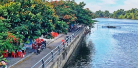 Đất Bình Dương Quảng Ngãi giá 600 triệu/nền