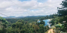 CẦN BÁN LÔ ĐẤT 1200M VIEW SĂN MÂY KHU DÂN CƯ MỚI XÃ XUÂN TRƯỜNG ĐÀ LẠT