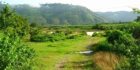 BÁN CHUYỂN NHƯỢNG GẤP ĐẤT NỀN ĐẠ TẺH, LÂM ĐỒNG.