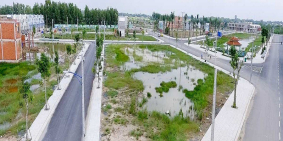 Bán Đất Sổ Đỏ (5x16) 80m2,Mỹ Hạnh Bắc,Đức Hòa- Long An