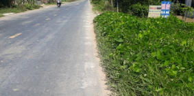 Gia đình muốn bán gấp đất Ấp Tân Hội, Đức Lập Thượng, Đức Hòa, Long An