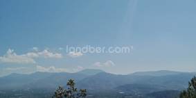 Đà Lạt! 11390m2! 299 triệu/sào! SHR chính chủ! Tặng thêm 6000m2.