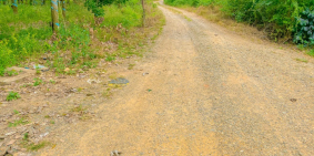 Bán đất gần sân bay long thành , diện tích 1841 m2