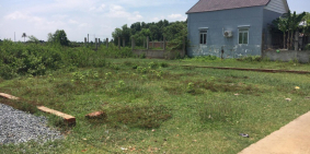 Bán Gấp Đất Đường Võ Thị Sáu 310m2 full thổ cư, đường oto, giá 3ty8