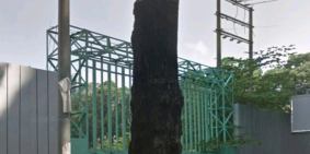 Bán đất Nguyễn Đình Chiểu 45m2 Giá 2 tỷ 550. SHR Công chứng liền trong ngày