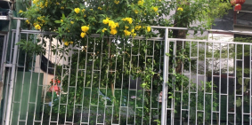 Bán đất HXH Phạm Văn Chiêu, P.14, Gò Vấp, 5x17m, 5.1 tỷ