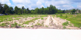 Kẹt Tiền Bán Gấp Nền Đất 2 Mặt Tiền 5x36m TX.Phú Mỹ-Bà Rịa Vũng Tàu.