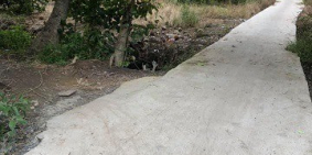 3.893 m2 đất lúa đang trồng dừa ấp 3 xã An Thạnh Bến Lức LA chỉ 700tr/ 1000m2