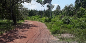 Chồng bệnh nặng cần tiền điều trị nên bán gấp lô đất vườn