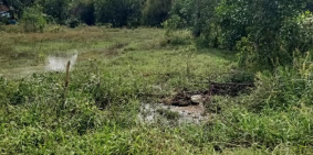 ĐẤT VƯỜN GIÁP 3 MẶT TIỀN GIÁ NGỘP CHỈ 55T/M NGANG