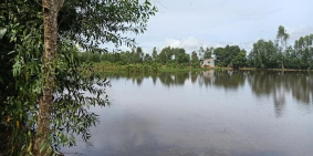 HƠN 5400 M2 ĐẤT LUA GIÁP KCN TRƯỜNG HẢI GIÁ 45T/M NGANG