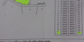 Bán bán đất sào mặt tiền đường Xương cá xã Phong Phú huyện Bình Chánh Thành Phố